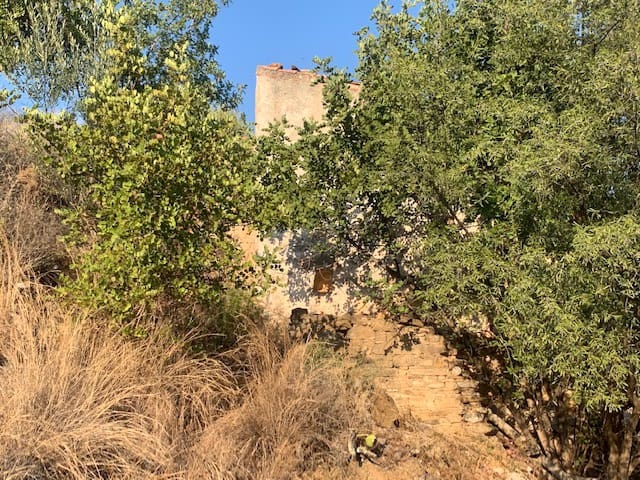 2 bedroom Finca/Country House for sale in Comares - € 69,000 (Ref: 6357826)