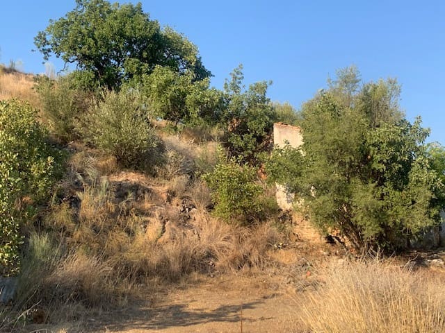2 bedroom Finca/Country House for sale in Comares - € 69,000 (Ref: 6357826)