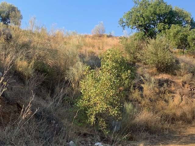 2 bedroom Finca/Country House for sale in Comares - € 69,000 (Ref: 6357826)