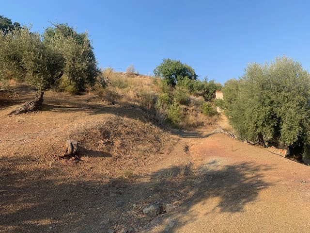 2 bedroom Finca/Country House for sale in Comares - € 69,000 (Ref: 6357826)