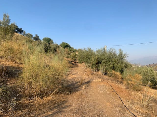 2 bedroom Finca/Country House for sale in Comares - € 69,000 (Ref: 6357826)