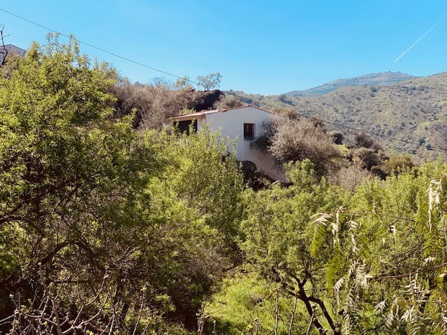 Grunde uden byggetilladelser til salg i Riogordo - € 79.000 (Ref: 6379870)