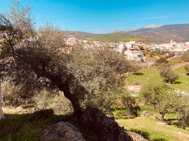 Grunde uden byggetilladelser til salg i Riogordo - € 79.000 (Ref: 6379870)