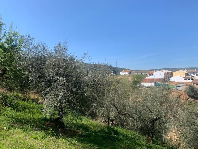 Grunde uden byggetilladelser til salg i Riogordo - € 79.000 (Ref: 6379870)