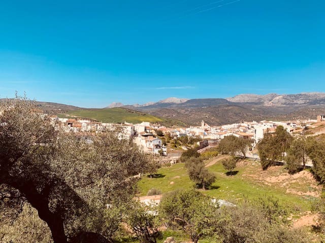 Undeveloped Land for sale in Riogordo - € 79,000 (Ref: 6379870)