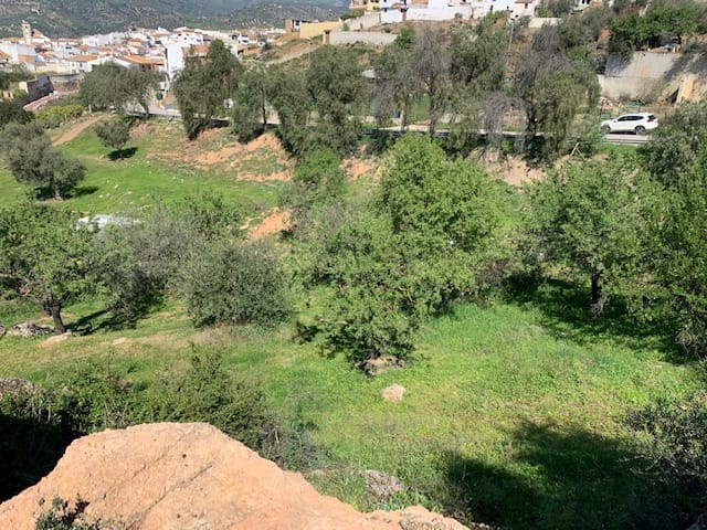 Undeveloped Land for sale in Riogordo - € 79,000 (Ref: 6379870)