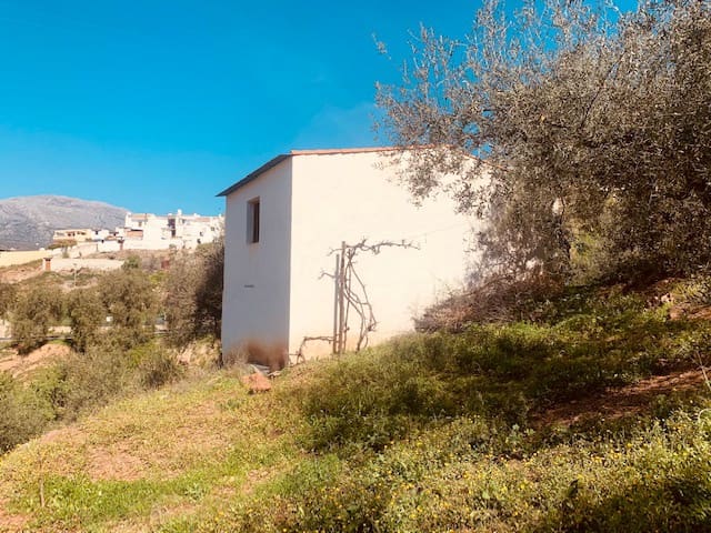 Undeveloped Land for sale in Riogordo - € 79,000 (Ref: 6379870)