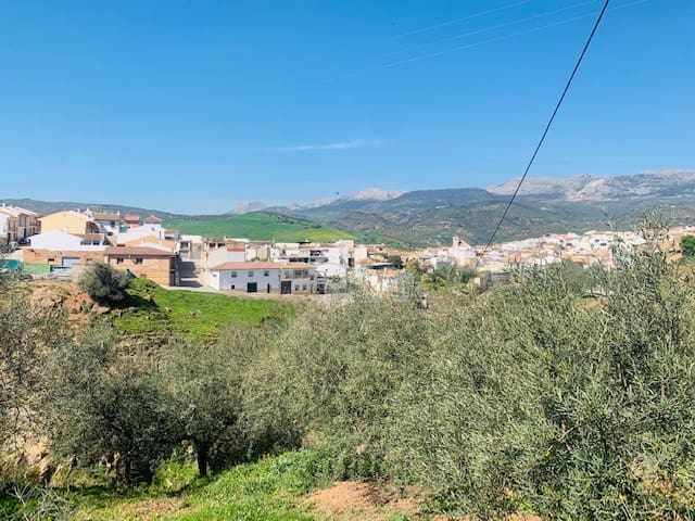 Undeveloped Land for sale in Riogordo - € 79,000 (Ref: 6379870)