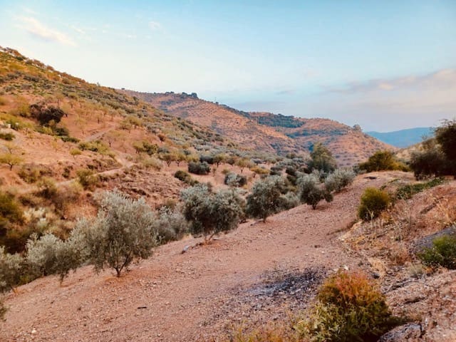 4 soveværelse Finca/Landehus til salg i Colmenar - € 250.000 (Ref: 7035461)