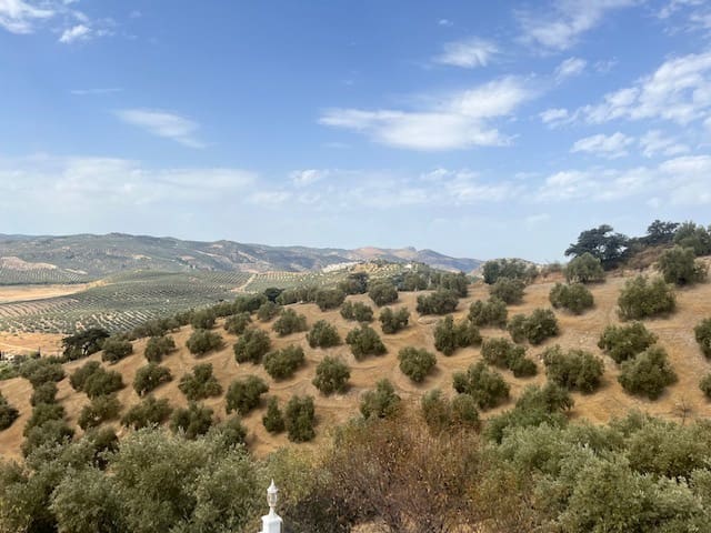 6 quarto Quinta/Casa Rural para venda em Iznajar com piscina - 385 000 € (Ref: 7060172)