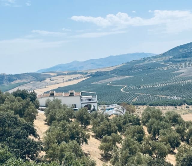 6 quarto Quinta/Casa Rural para venda em Iznajar com piscina - 385 000 € (Ref: 7060172)