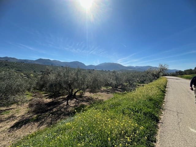 4 soveværelse Finca/Landehus til salg i Villanueva del Trabuco med garage - € 128.000 (Ref: 8107127)