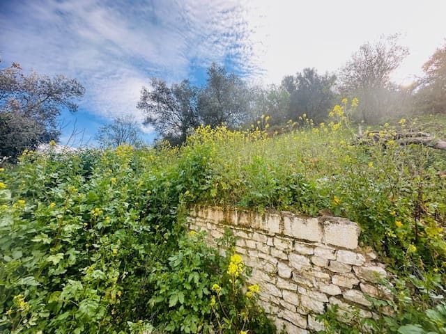 3 sypialnia Finka/Dom wiejski na sprzedaż w Villanueva de Algaidas - 79 000 € (Ref: 8143443)