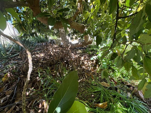 4 soveværelse Finca/Landehus til salg i Benamargosa med garage - € 185.000 (Ref: 8212349)