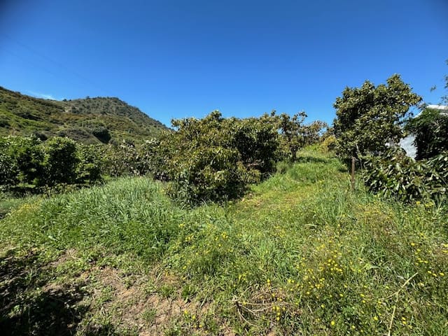 4 soveværelse Finca/Landehus til salg i Benamargosa med garage - € 185.000 (Ref: 8212349)