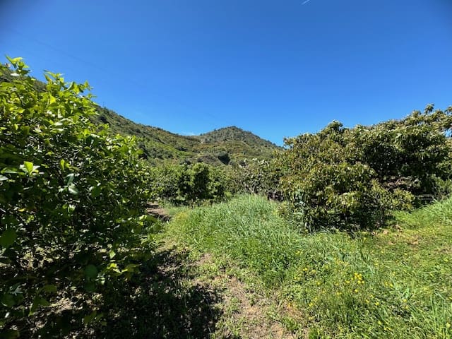 4 soveværelse Finca/Landehus til salg i Benamargosa med garage - € 185.000 (Ref: 8212349)