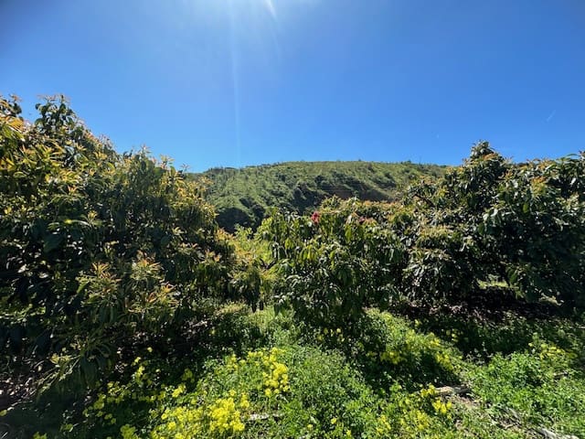 4 soveværelse Finca/Landehus til salg i Benamargosa med garage - € 185.000 (Ref: 8212349)