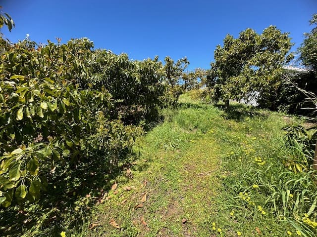 4 soveværelse Finca/Landehus til salg i Benamargosa med garage - € 185.000 (Ref: 8212349)