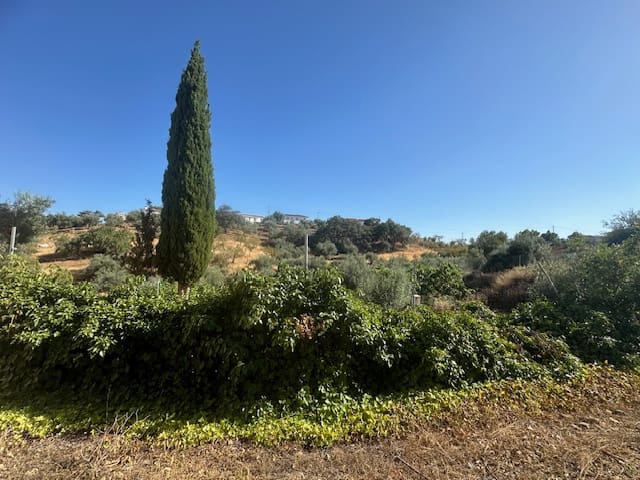 3 soveværelse Finca/Landehus til salg i Comares med swimmingpool - € 109.000 (Ref: 8416666)