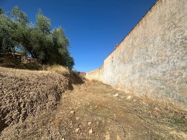 3 camera da letto Finca/Casa di Campagna in vendita in Comares con piscina - 109.000 € (Rif: 8416666)