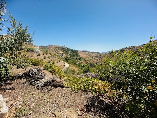 3 soveværelse Finca/Landehus til salg i Comares med garage - € 170.000 (Ref: 8428167)