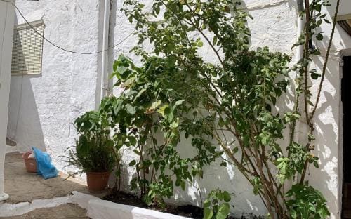 3 sypialnia Dom na sprzedaż w Iznajar - 99 000 € (Ref: 8602195)