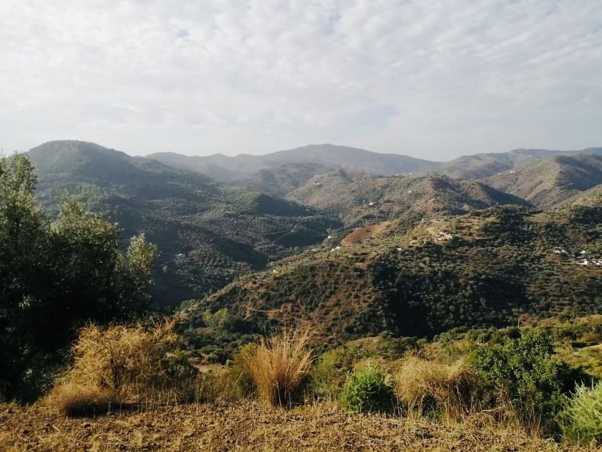 3 bedroom Finca/Country House for sale in Colmenar - € 110,000 (Ref: 8640349)