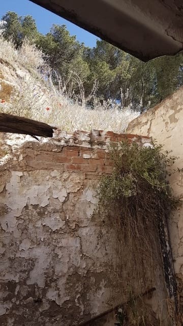 Ruin til salg i Villanueva del Trabuco - € 20.000 (Ref: 8674853)