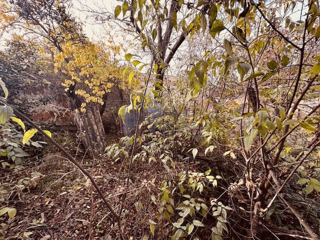 Hus til salgs i Fuente de Piedra - € 84 900 (Ref: 8700551)