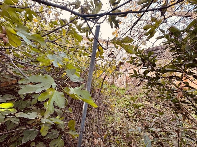 Hus til salgs i Fuente de Piedra - € 84 900 (Ref: 8700551)