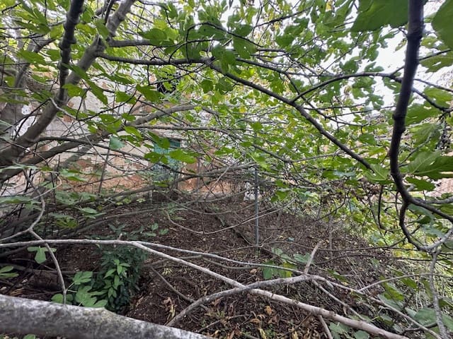 Hus til salgs i Fuente de Piedra - € 84 900 (Ref: 8700551)