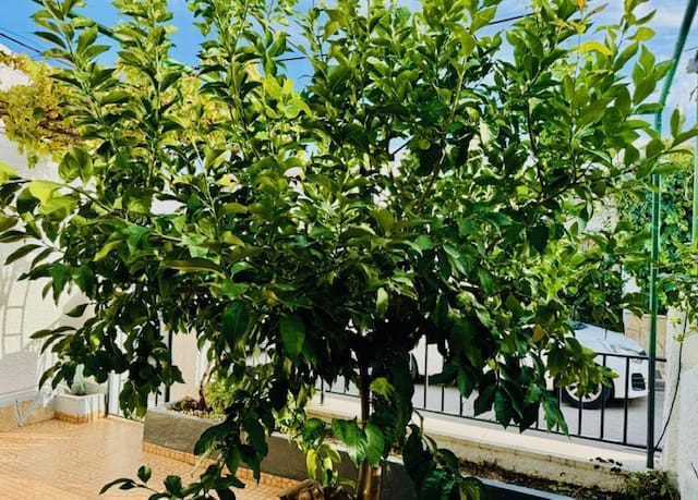 4 sypialnia Willa na sprzedaż w Villanueva de Algaidas - 126 000 € (Ref: 8728129)