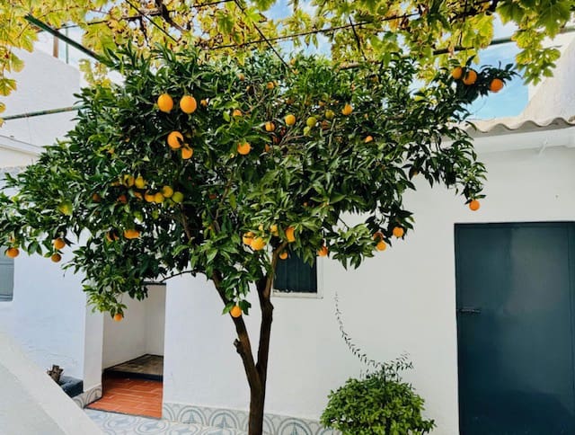 4 sypialnia Willa na sprzedaż w Villanueva de Algaidas - 126 000 € (Ref: 8728129)