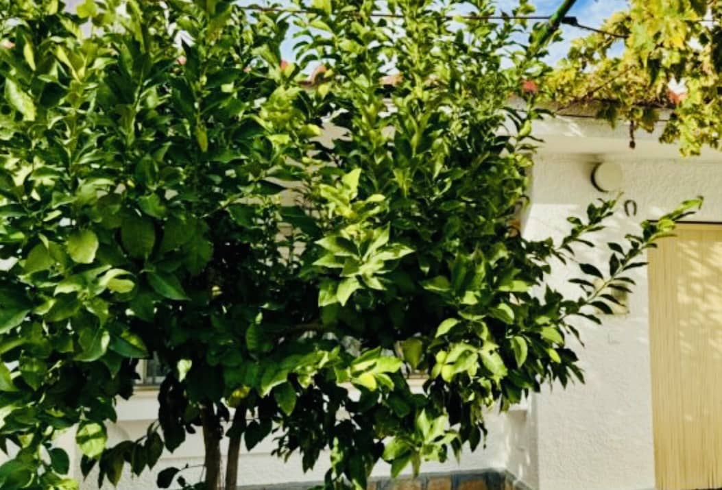 4 sypialnia Willa na sprzedaż w Villanueva de Algaidas - 126 000 € (Ref: 8728129)