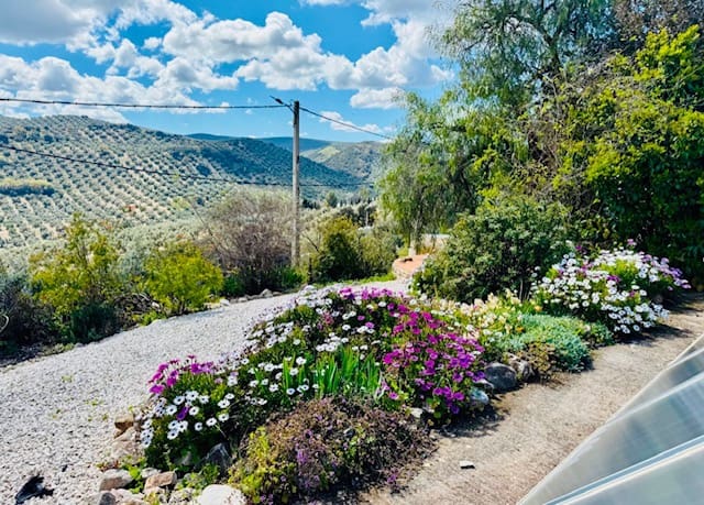 4 soveværelse Finca/Landehus til salg i Iznajar med swimmingpool - € 275.000 (Ref: 8945479)