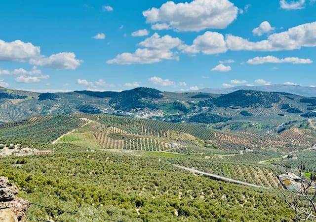 4 soveværelse Finca/Landehus til salg i Iznajar med swimmingpool - € 275.000 (Ref: 8945479)