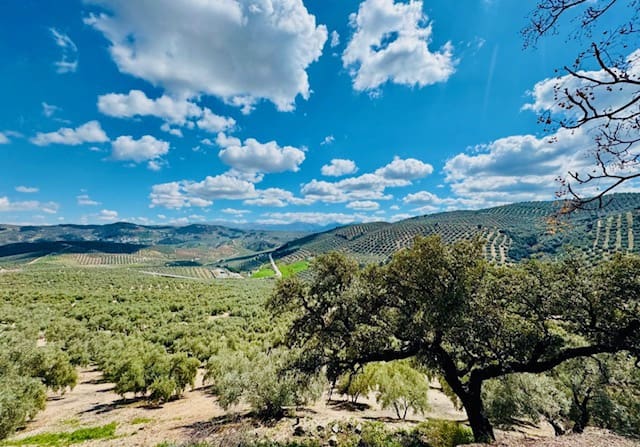 4 soveværelse Finca/Landehus til salg i Iznájar med swimmingpool - € 275.000 (Ref: 8945479)