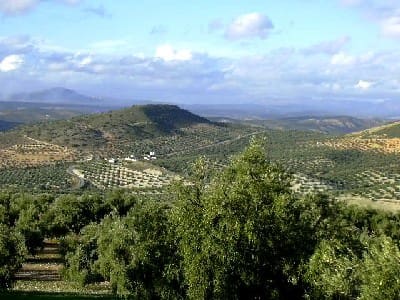 Finca/Landgut zu verkaufen in Antequera - 45.000 € (Ref: 894870)