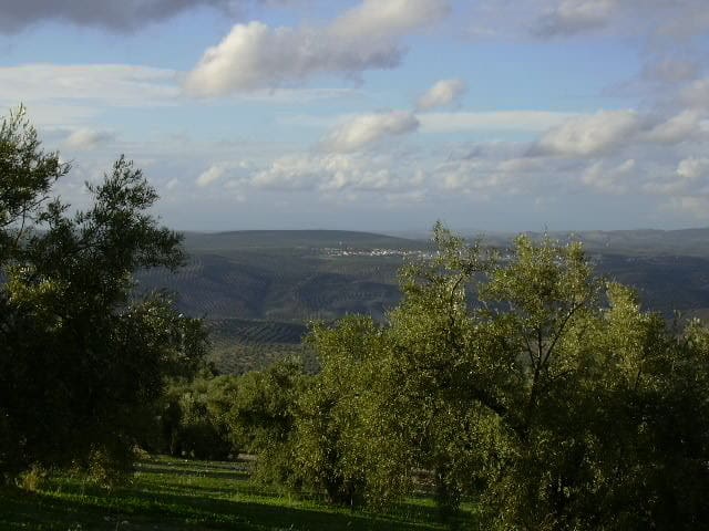 Maalaistalo myytävänä paikassa Antequera - 45 000 € (Ref: 894870)