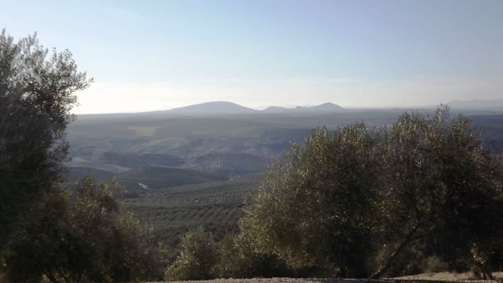 Maalaistalo myytävänä paikassa Antequera - 45 000 € (Ref: 894870)