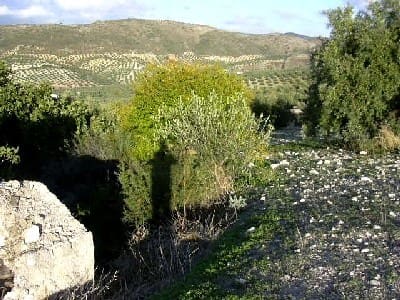 Maalaistalo myytävänä paikassa Antequera - 45 000 € (Ref: 894870)