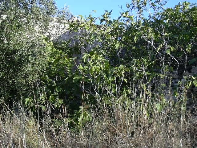 Maalaistalo myytävänä paikassa Antequera - 45 000 € (Ref: 894870)