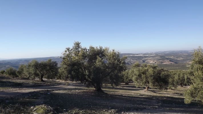 Maalaistalo myytävänä paikassa Antequera - 45 000 € (Ref: 894870)