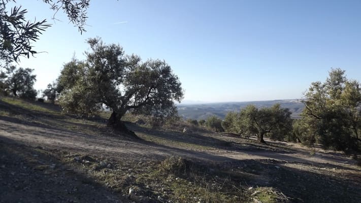 Maalaistalo myytävänä paikassa Antequera - 45 000 € (Ref: 894870)