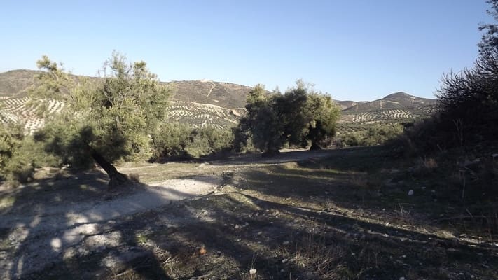 Maalaistalo myytävänä paikassa Antequera - 45 000 € (Ref: 894870)