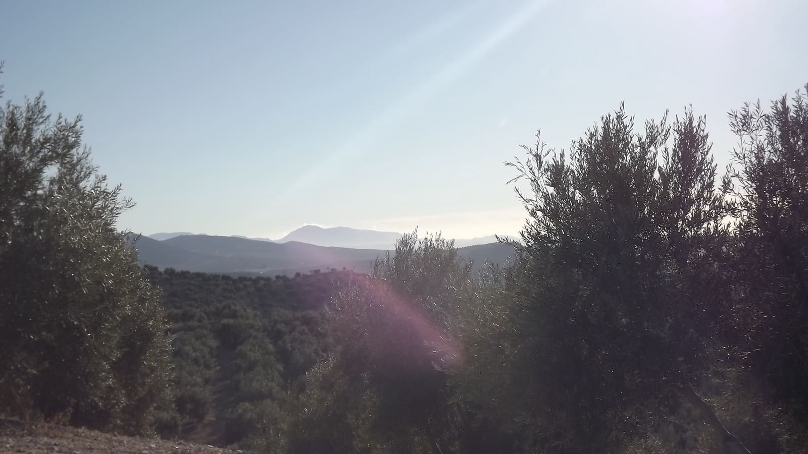 Maalaistalo myytävänä paikassa Antequera - 45 000 € (Ref: 894870)