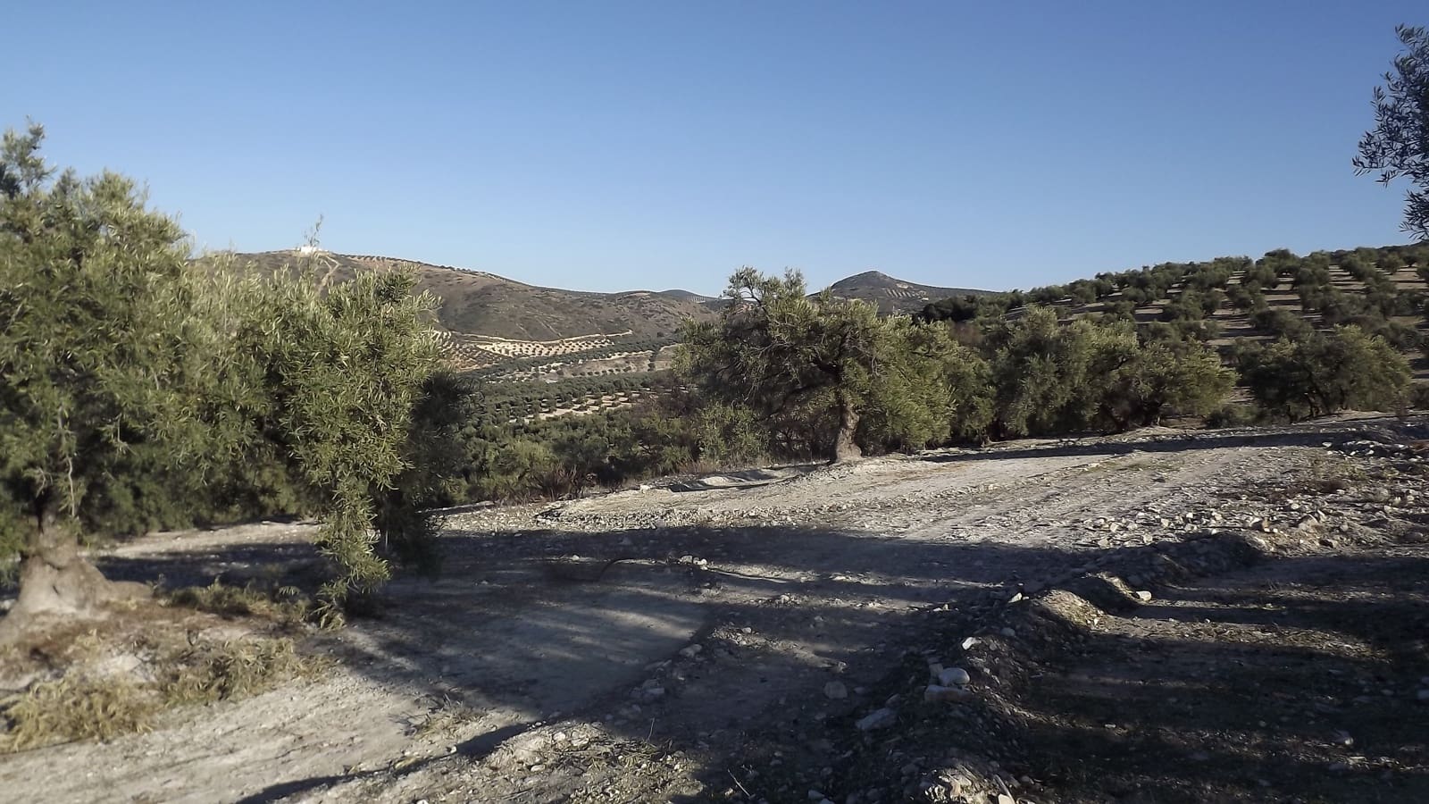 Maalaistalo myytävänä paikassa Antequera - 45 000 € (Ref: 894870)