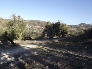Finca/Landehus til salg i Antequera - € 45.000 (Ref: 894870)