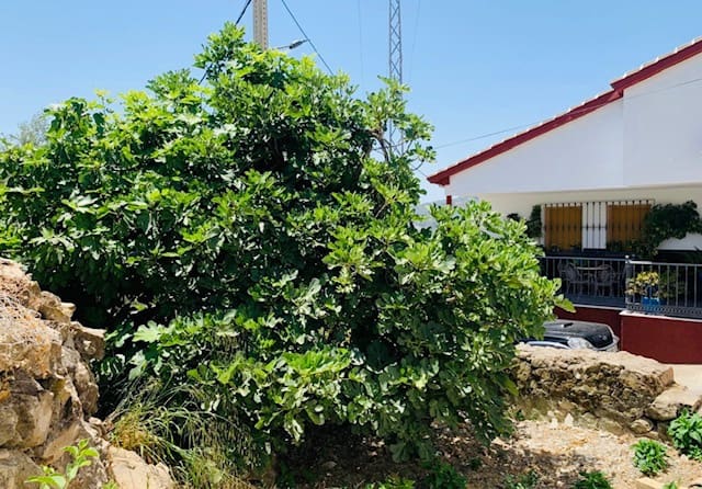 3 soveværelse Byhus til salg i Iznajar - € 55.000 (Ref: 9000302)