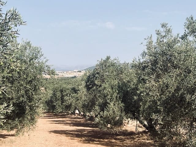 2 soveværelse Finca/Landehus til salg i Fuente de Piedra med garage - € 115.000 (Ref: 9109307)